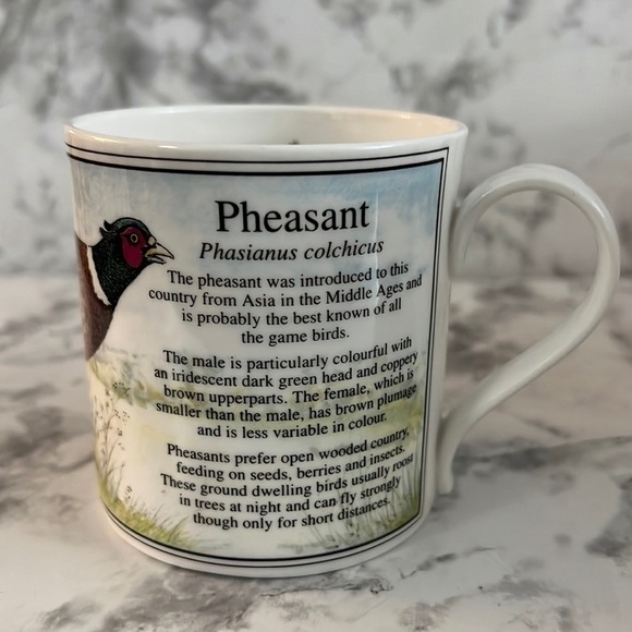 Ashley England Birdwatch Pheasant Coffee Mug Fine Bone China - Picture 7 of 7